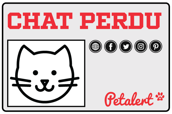 Pet Alert transmite la reseña de tu gato perdido