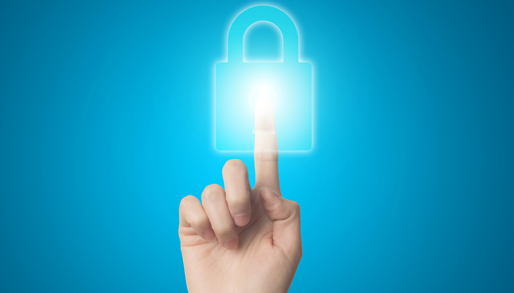 Interfaz segura y protección de datos
